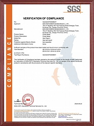 DSS_SUES2407000986AT